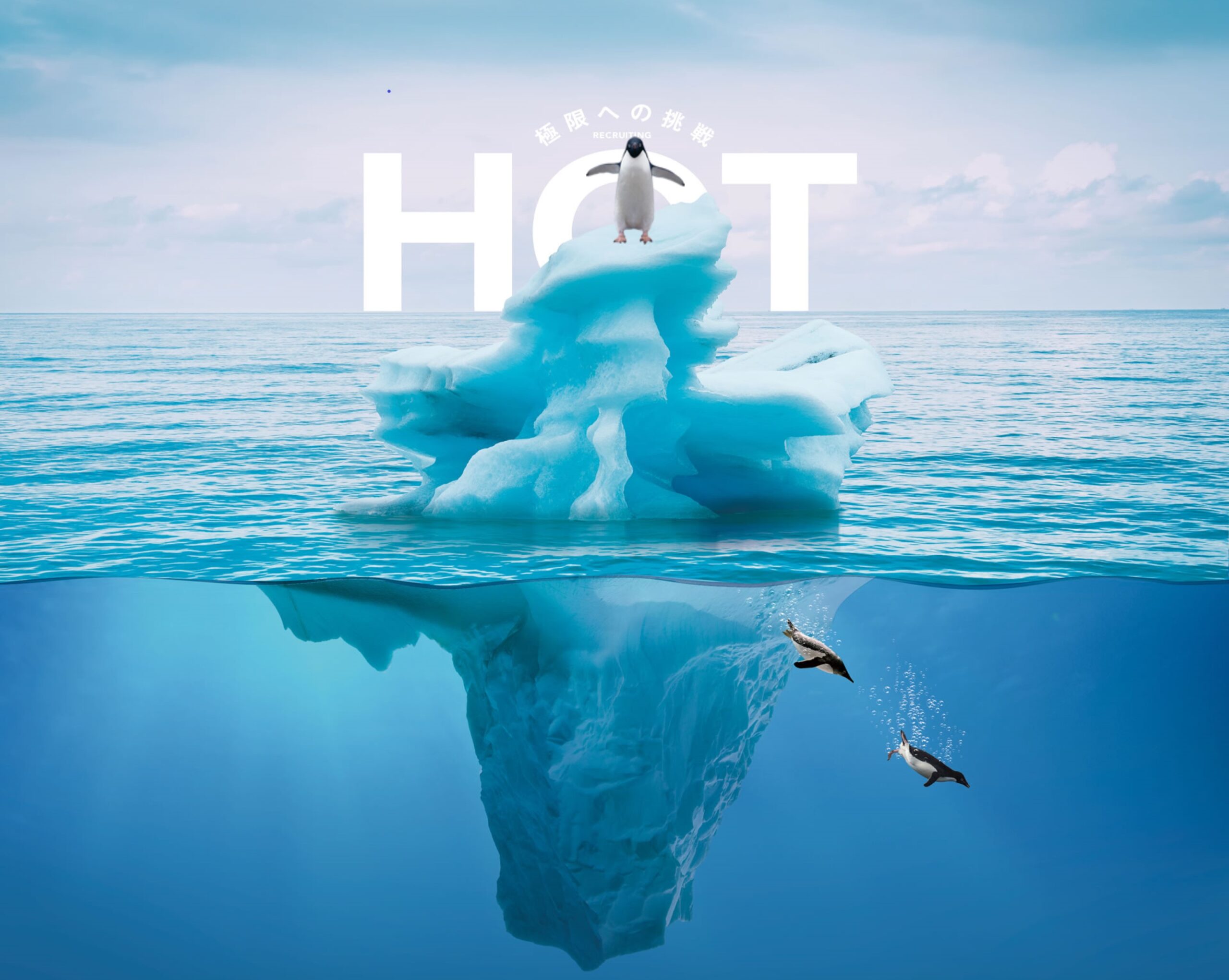 PRIVACY POLICY 1 aboutusbg 1 scaled